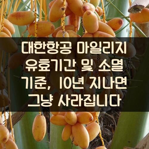 대한항공 마일리지 유효기간 및 소멸 기준, 10년 지나면 그냥 사라집니다