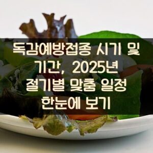 독감예방접종 시기 및 기간, 2025년 절기별 맞춤 일정 한눈에 보기 독감예방접종 시기 및 기간, 2025년 절기별 맞춤 일정 한눈에 보기
