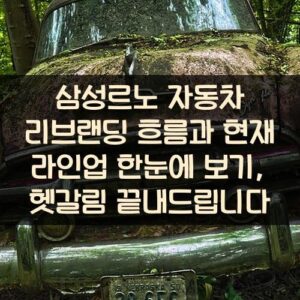 삼성르노 자동차 리브랜딩 흐름과 현재 라인업 한눈에 보기, 헷갈림 끝내드립니다