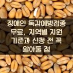 장애인 독감예방접종 무료, 지역별 지원 기준과 신청 전 꼭 알아둘 점 1 장애인 독감예방접종 무료, 지역별 지원 기준과 신청 전 꼭 알아둘 점