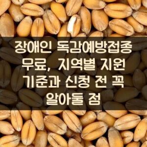 장애인 독감예방접종 무료, 지역별 지원 기준과 신청 전 꼭 알아둘 점 장애인 독감예방접종 무료, 지역별 지원 기준과 신청 전 꼭 알아둘 점