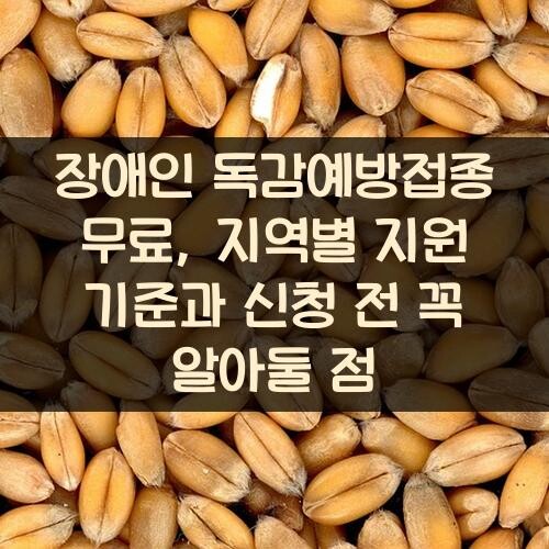 장애인 독감예방접종 무료, 지역별 지원 기준과 신청 전 꼭 알아둘 점