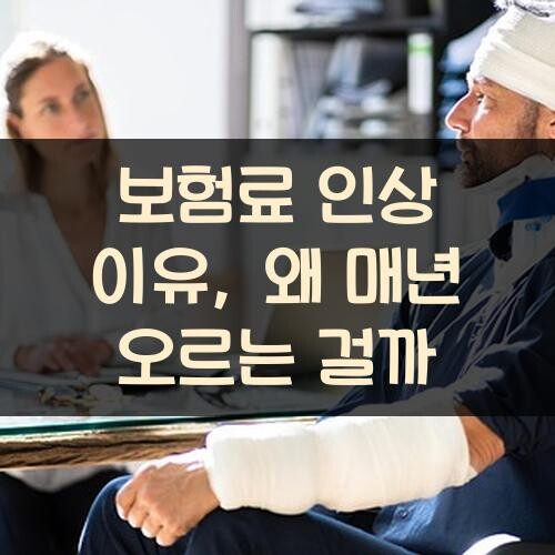 보험료 인상 이유, 왜 매년 오르는 걸까?
