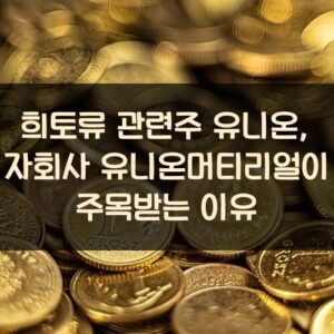 희토류 관련주 유니온, 자회사 유니온머티리얼이 주목받는 이유 희토류 관련주 유니온, 자회사 유니온머티리얼이 주목받는 이유