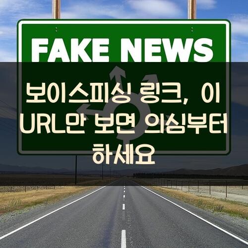 보이스피싱 링크, 이 URL만 보면 의심부터 하세요