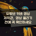 유튜브 커버 영상 저작권, 영상 올리기 전에 꼭 확인하세요