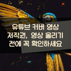유튜브 커버 영상 저작권, 영상 올리기 전에 꼭 확인하세요 유튜브 커버 영상 저작권, 영상 올리기 전에 꼭 확인하세요