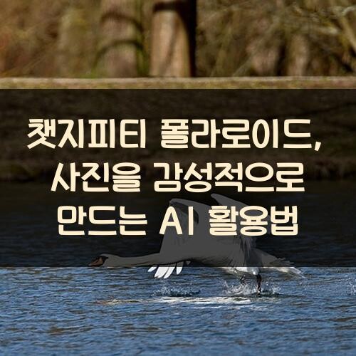 챗지피티 폴라로이드, 사진을 감성적으로 만드는 AI 활용법