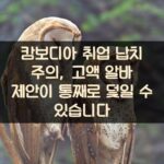 캄보디아 취업 납치 주의, 고액 알바 제안이 통째로 덫일 수 있습니다