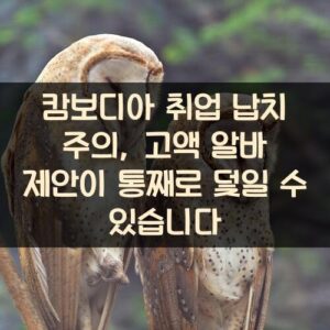 캄보디아 취업 납치 주의, 고액 알바 제안이 통째로 덫일 수 있습니다