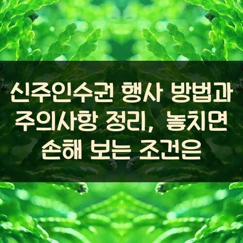 신주인수권 행사 방법과 주의사항 정리, 놓치면 손해 보는 조건은?