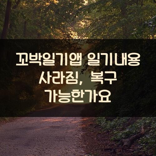 꼬박일기앱 일기내용 사라짐, 복구 가능한가요?