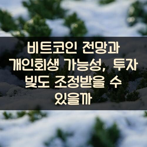 비트코인 전망과 개인회생 가능성, 투자 빚도 조정받을 수 있을까?