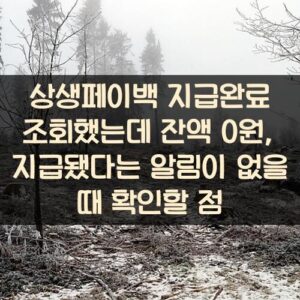 상생페이백 지급완료 조회했는데 잔액 0원, 지급됐다는 알림이 없을 때 확인할 점 상생페이백 지급완료 조회했는데 잔액 0원, 지급됐다는 알림이 없을 때 확인할 점