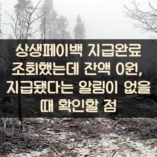 상생페이백 지급완료 조회했는데 잔액 0원, 지급됐다는 알림이 없을 때 확인할 점