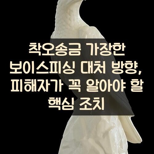 착오송금 가장한 보이스피싱 대처 방향, 피해자가 꼭 알아야 할 핵심 조치