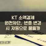 KT 소액결제 원천차단, 번호 변경 시 자동으로 풀릴까? 1 KT 소액결제 원천차단, 번호 변경 시 자동으로 풀릴까?