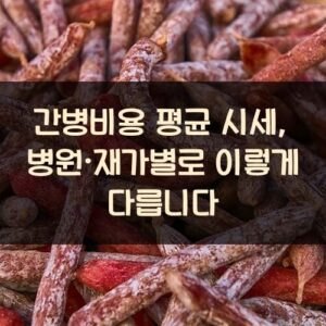 간병비용 평균 시세, 병원·재가별로 이렇게 다릅니다