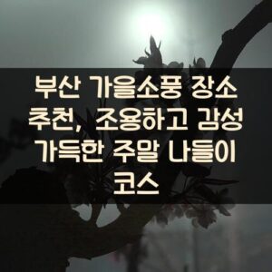부산 가을소풍 장소 추천, 조용하고 감성 가득한 주말 나들이 코스