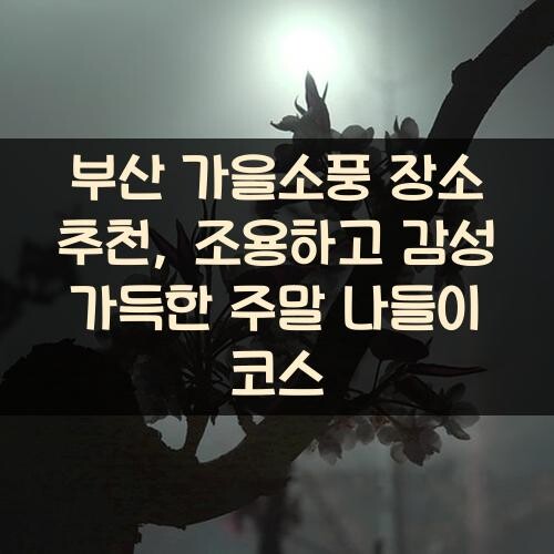 부산 가을소풍 장소 추천, 조용하고 감성 가득한 주말 나들이 코스