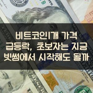 비트코인1개 가격 급등락, 초보자는 지금 빗썸에서 시작해도 될까?