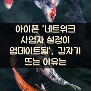 아이폰 ‘네트워크 사업자 설정이 업데이트됨’, 갑자기 뜨는 이유는? 아이폰 ‘네트워크 사업자 설정이 업데이트됨’, 갑자기 뜨는 이유는?