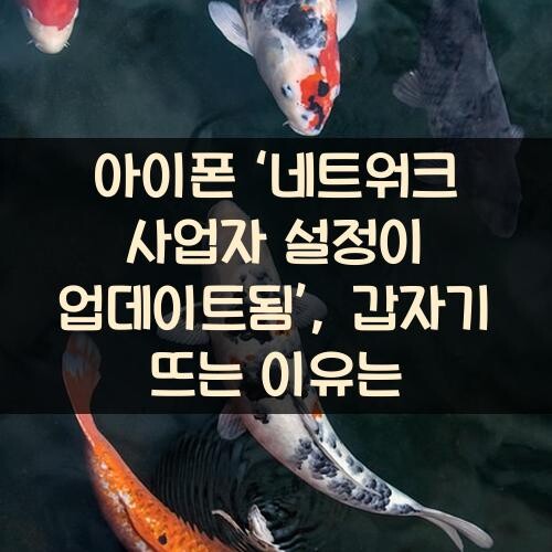 아이폰 ‘네트워크 사업자 설정이 업데이트됨’, 갑자기 뜨는 이유는?