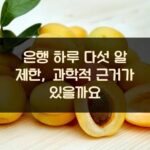 은행 하루 다섯 알 제한, 과학적 근거가 있을까요?
