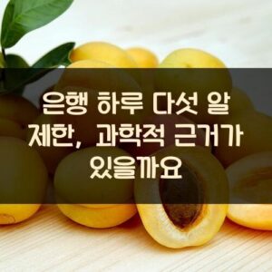 은행 하루 다섯 알 제한, 과학적 근거가 있을까요? 은행 하루 다섯 알 제한, 과학적 근거가 있을까요?