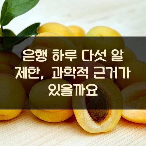 은행 하루 다섯 알 제한, 과학적 근거가 있을까요?