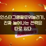 인스타그램팔로워늘리기, 진짜 늘어나는 전략은 따로 있다 2 인스타그램팔로워늘리기, 진짜 늘어나는 전략은 따로 있다