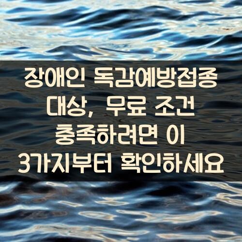 장애인 독감예방접종 대상, 무료 조건 충족하려면 이 3가지부터 확인하세요