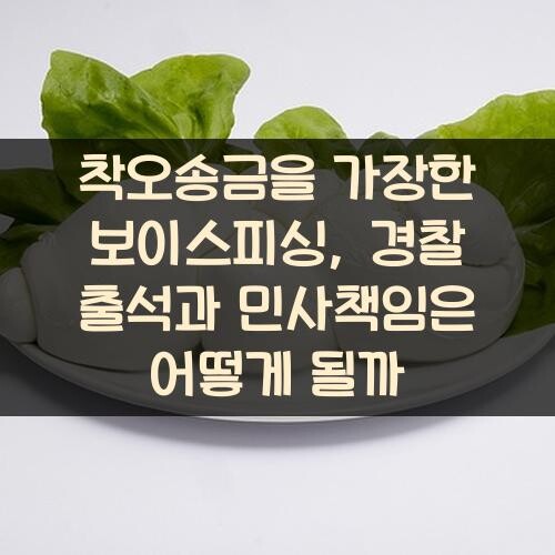 착오송금을 가장한 보이스피싱, 경찰 출석과 민사책임은 어떻게 될까?