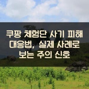 쿠팡 체험단 사기 피해 대응법, 실제 사례로 보는 주의 신호 쿠팡 체험단 사기 피해 대응법, 실제 사례로 보는 주의 신호