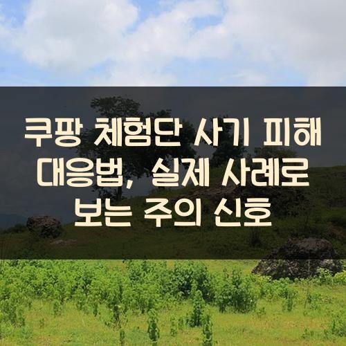 쿠팡 체험단 사기 피해 대응법, 실제 사례로 보는 주의 신호