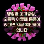 맹장염 초기증상, 오른쪽 아랫배 통증이 있다면 지금 확인해야 합니다 1 맹장염 초기증상, 오른쪽 아랫배 통증이 있다면 지금 확인해야 합니다