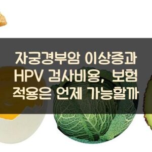 자궁경부암 이상증과 HPV 검사비용, 보험 적용은 언제 가능할까?