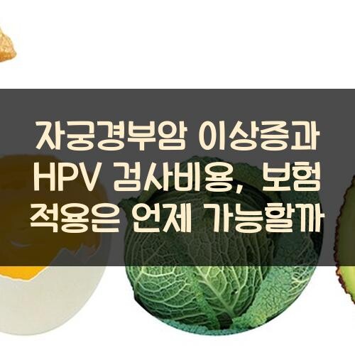 자궁경부암 이상증과 HPV 검사비용, 보험 적용은 언제 가능할까?