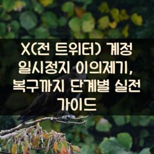X(전 트위터) 계정 일시정지 이의제기, 복구까지 단계별 실전 가이드