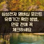 삼성전자 멤버십 포인트 유효기간 확인 방법, 만료 전에 꼭 체크하세요 1 삼성전자 멤버십 포인트 유효기간 확인 방법, 만료 전에 꼭 체크하세요