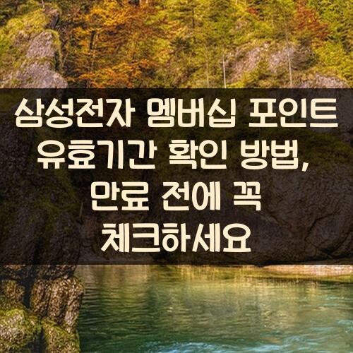 삼성전자 멤버십 포인트 유효기간 확인 방법, 만료 전에 꼭 체크하세요