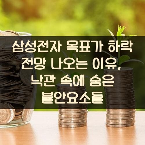 삼성전자 목표가 하락 전망 나오는 이유, 낙관 속에 숨은 불안요소들