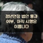 정년연장 법안 통과 여부, 아직 시행은 이릅니다 2 정년연장 법안 통과 여부, 아직 시행은 이릅니다
