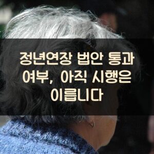 정년연장 법안 통과 여부, 아직 시행은 이릅니다 정년연장 법안 통과 여부, 아직 시행은 이릅니다