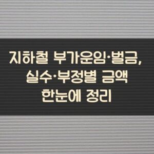 지하철 부가운임·벌금, 실수·부정별 금액 한눈에 정리 지하철 부가운임·벌금, 실수·부정별 금액 한눈에 정리