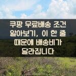 쿠팡 무료배송 조건 알아보기, 이 한 줄 때문에 배송비가 달라집니다