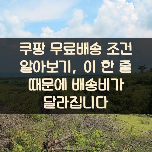 쿠팡 무료배송 조건 알아보기, 이 한 줄 때문에 배송비가 달라집니다