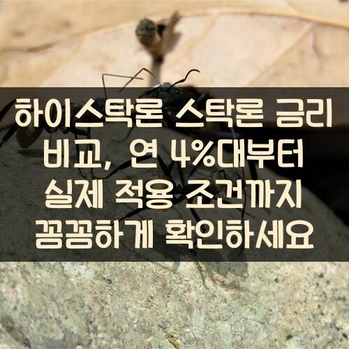 하이스탁론 스탁론 금리 비교, 연 4%대부터 실제 적용 조건까지 꼼꼼하게 확인하세요
