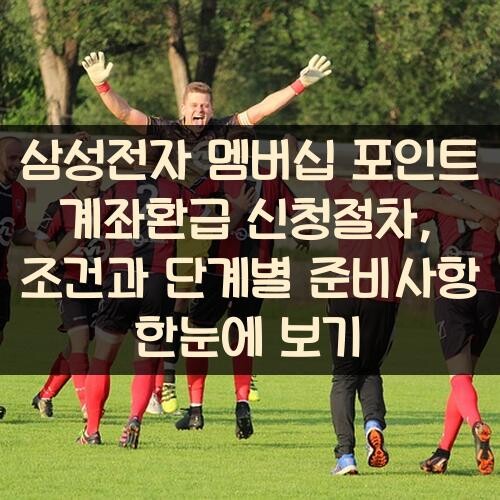 삼성전자 멤버십 포인트 계좌환급 신청절차, 조건과 단계별 준비사항 한눈에 보기