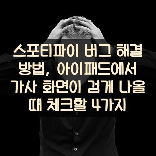 스포티파이 버그 해결 방법, 아이패드에서 가사 화면이 검게 나올 때 체크할 4가지